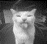 Dithered Cat